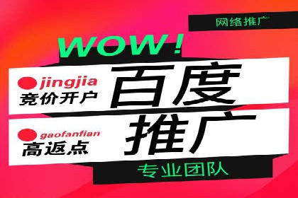 案例解析：SEM托管代运营团队风采